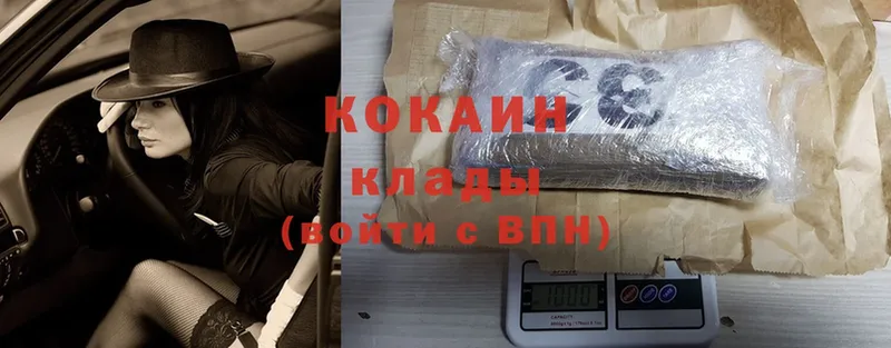 Cocaine Fish Scale  как найти закладки  MEGA зеркало  Советская Гавань 